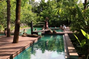 hot spring pai